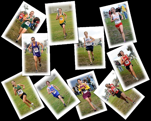 NCS XC Division Winners.JPG - 2010 NCS High School Cross Country